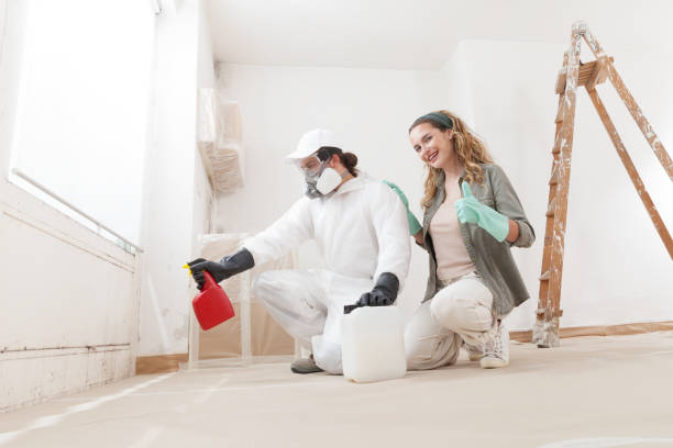 Best Asbestos and Lead Testing During Mold Inspection  in Bowling Green, MO